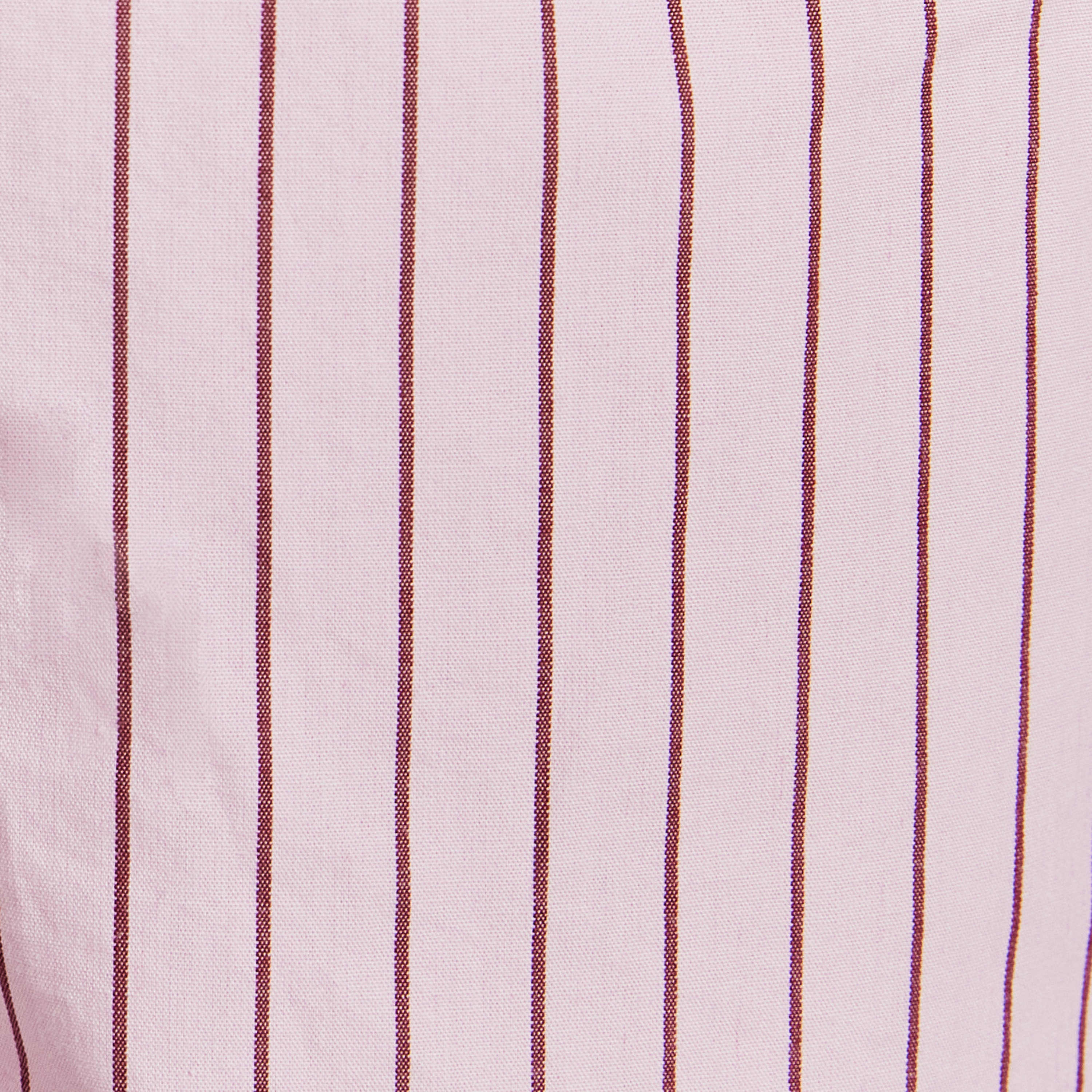 Cotton Stripe Shorts